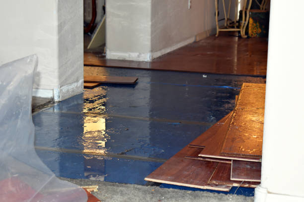 Professional Sewage Cleanup technician working in East Bend, NC